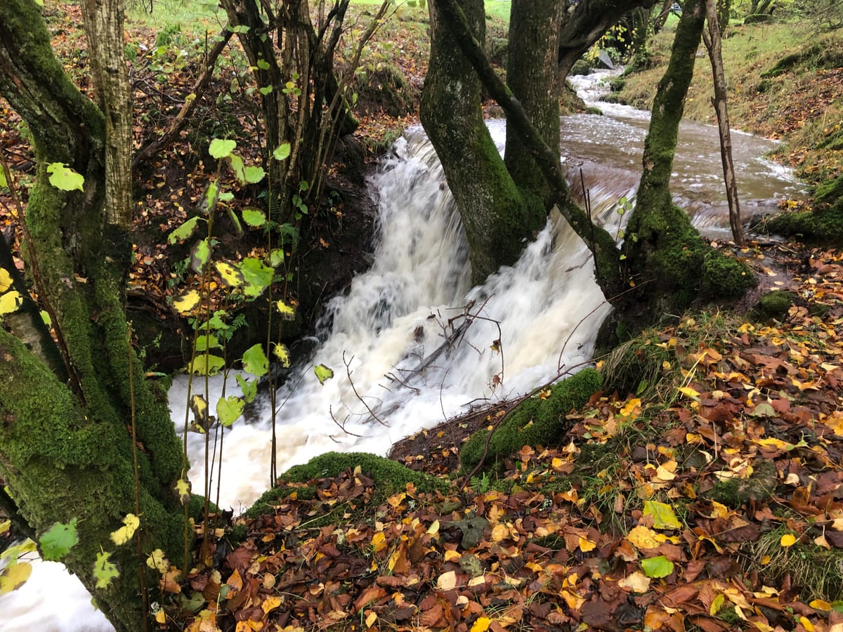 Chapter 10: A test of fortitude and resilience