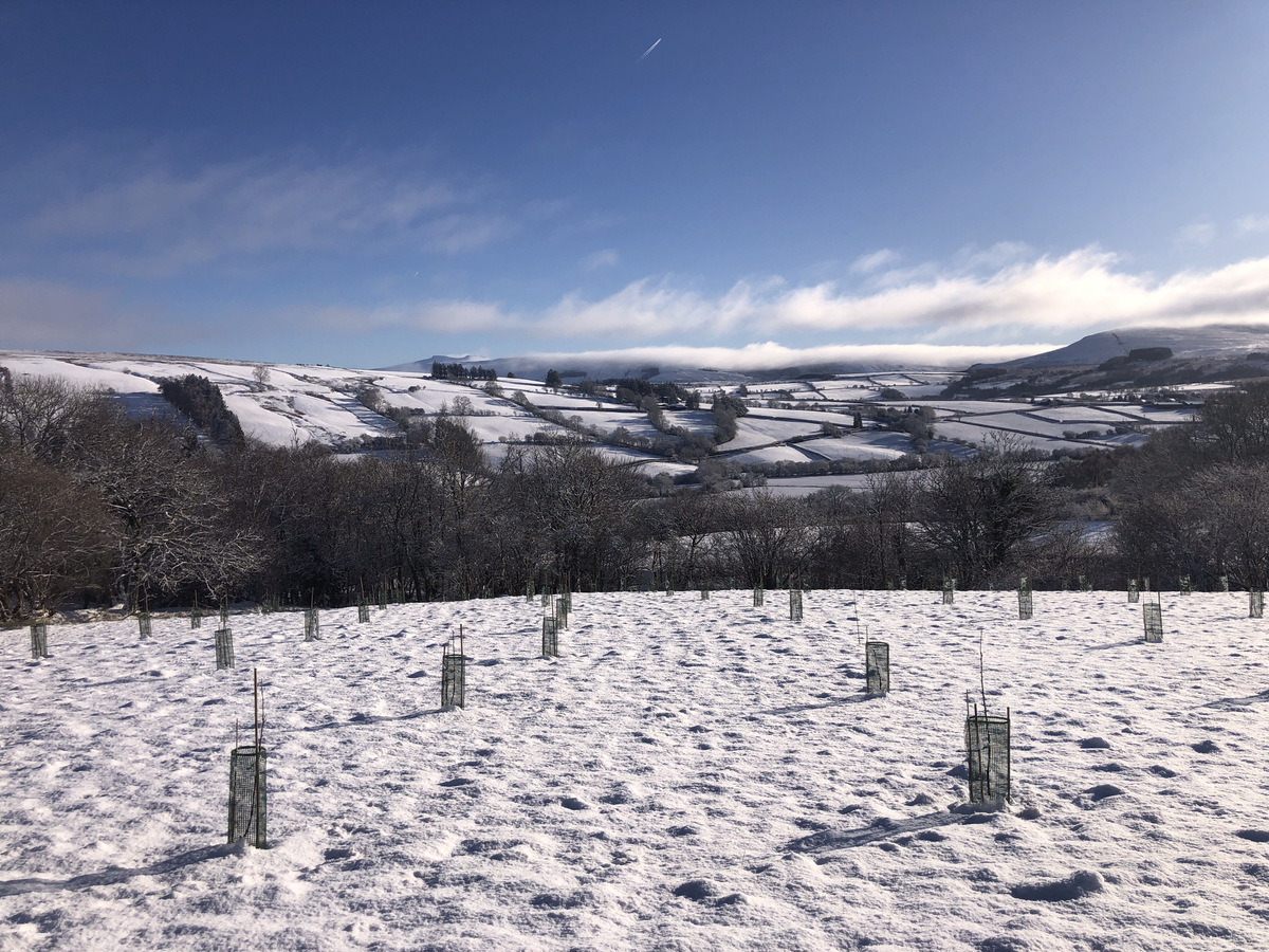 Chapter 11: Snowy Rhuddin ❄️