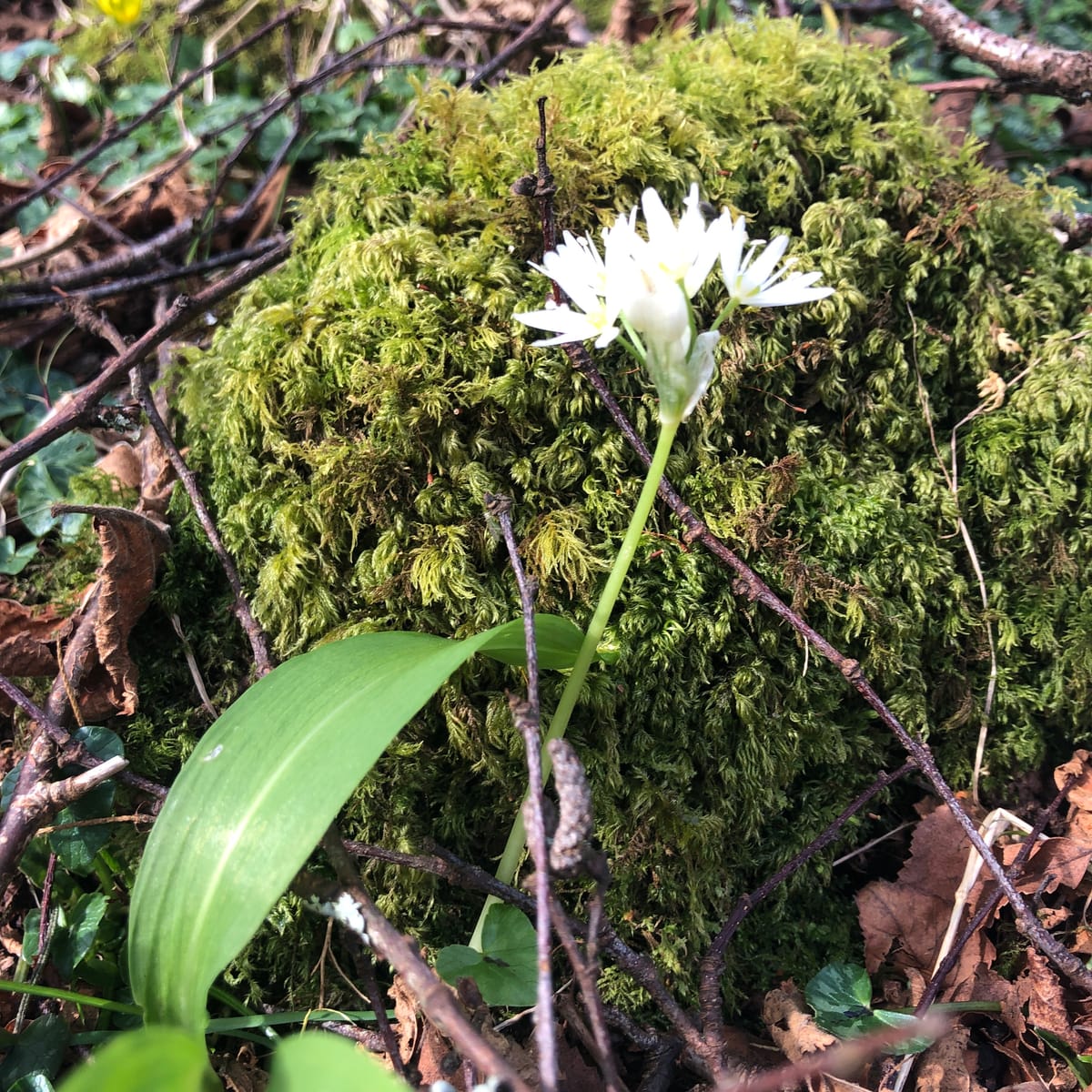 Chapter 13: Hello Spring! 🌼