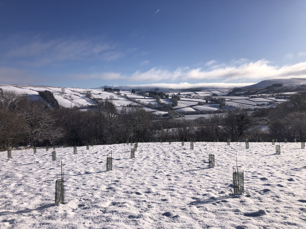 Chapter 11: Snowy Rhuddin ❄️